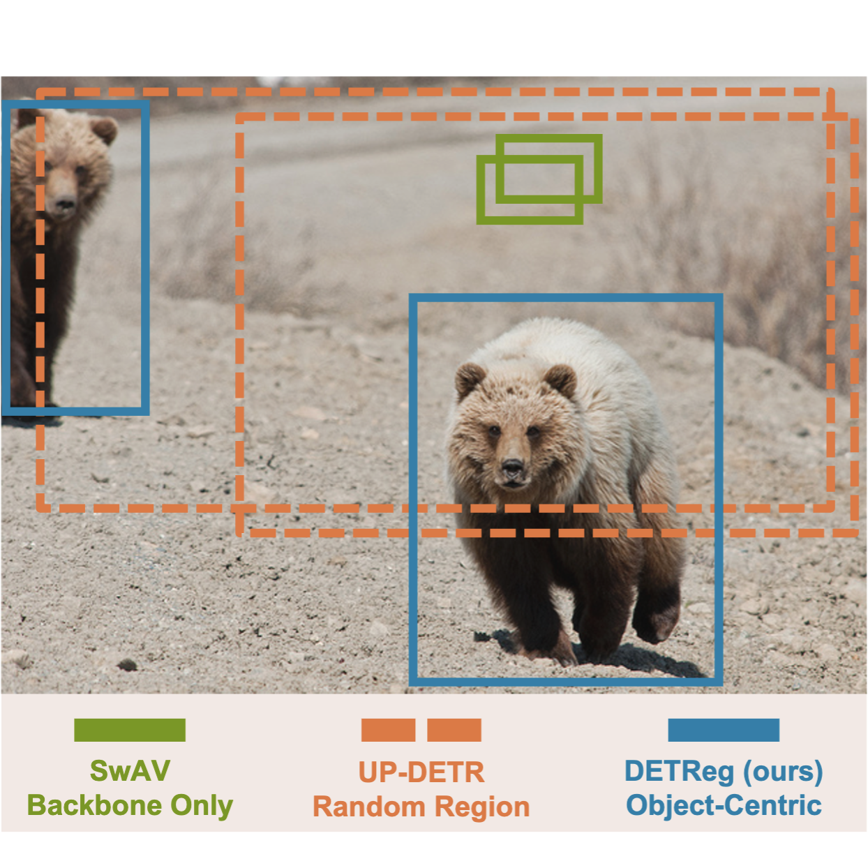 DETReg: Unsupervised Pretraining with Region Priors for Object Detection